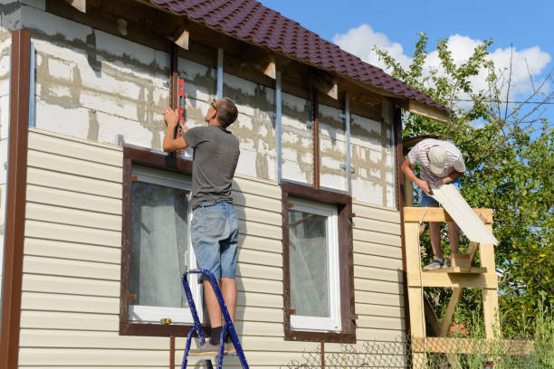 Best Vinyl Siding Installation  in Mount Pleasant, IA